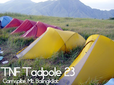 tadpole 23 tent